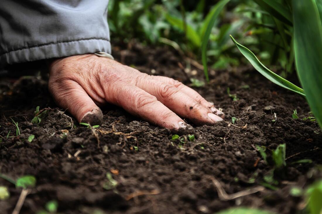 man touching the soil on the ground