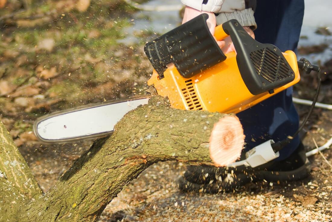 man cutting up a log using a saw
