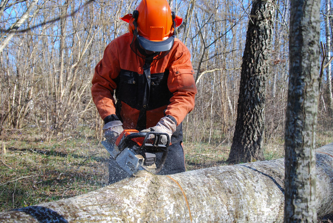 man cutting a log using a saw